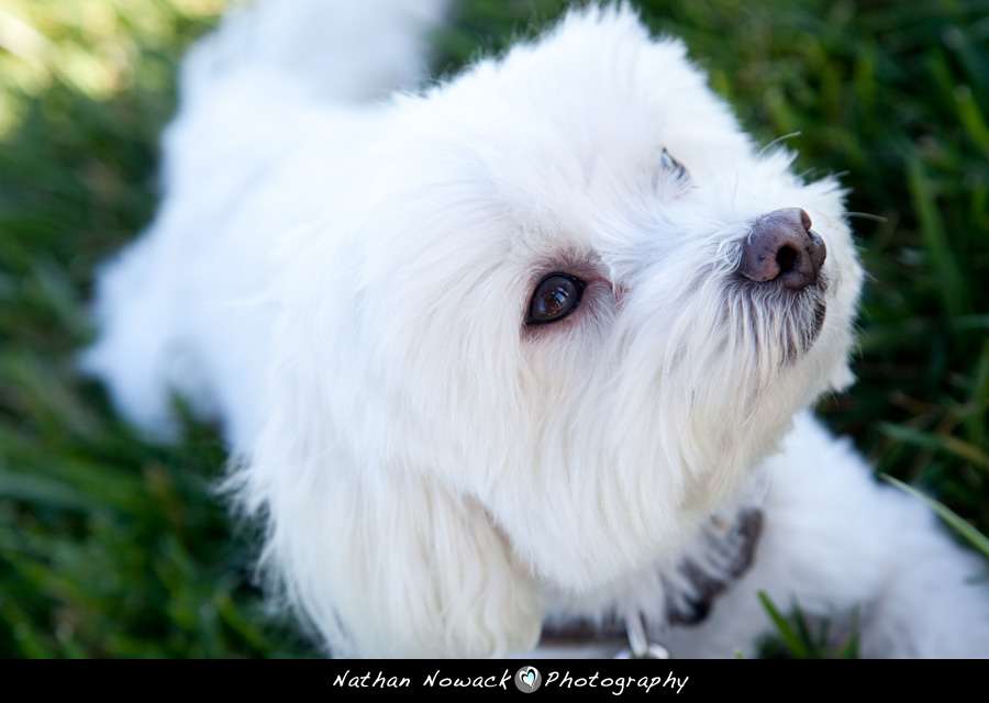 Featured image for “Meet Judy & Nathan Mintz – Founder’s Park – Trump National Golf Course”