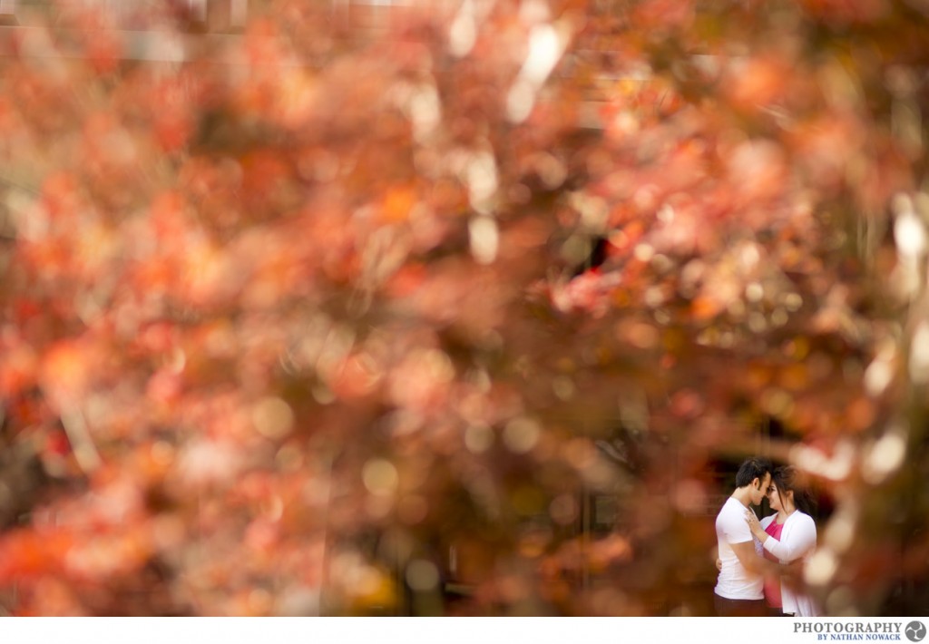 Featured image for “CSU Fullerton Engagement Session – Soo Ah & Bon E-session – Orange County”