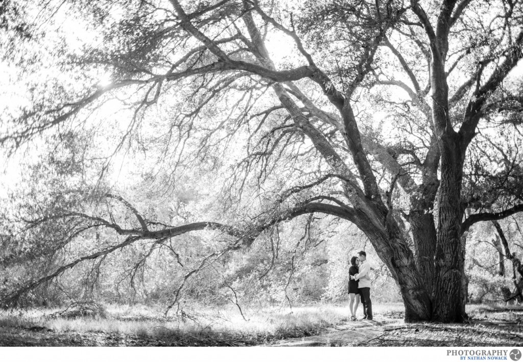 Malibu-engagement-session-winery-estates-beach-zuma_0007