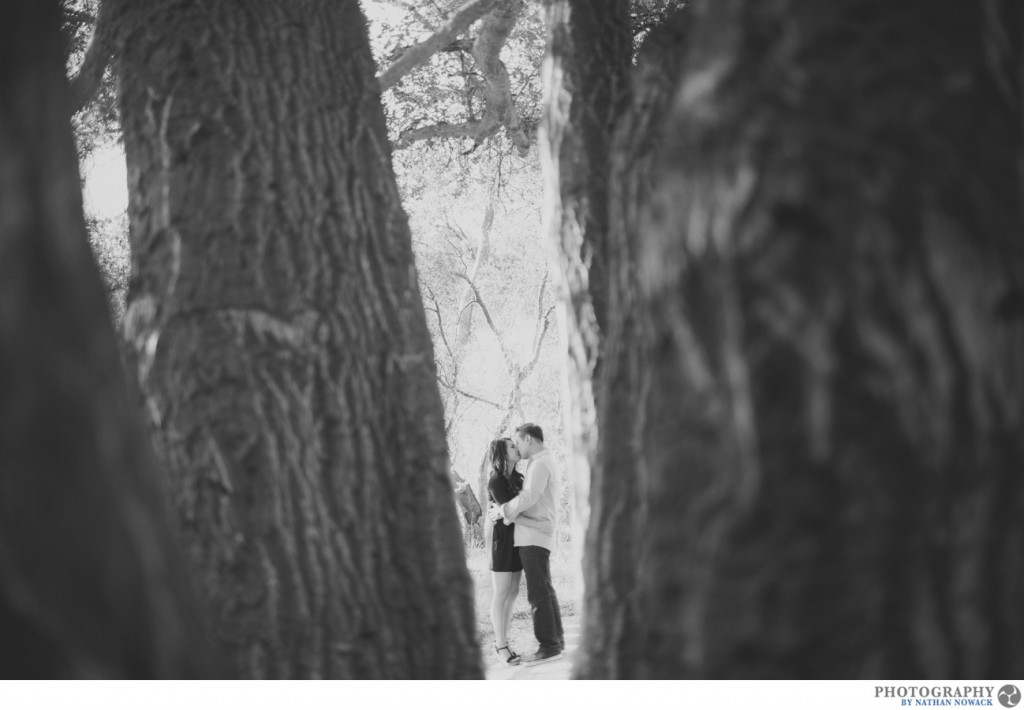 Malibu-engagement-session-winery-estates-beach-zuma_0008