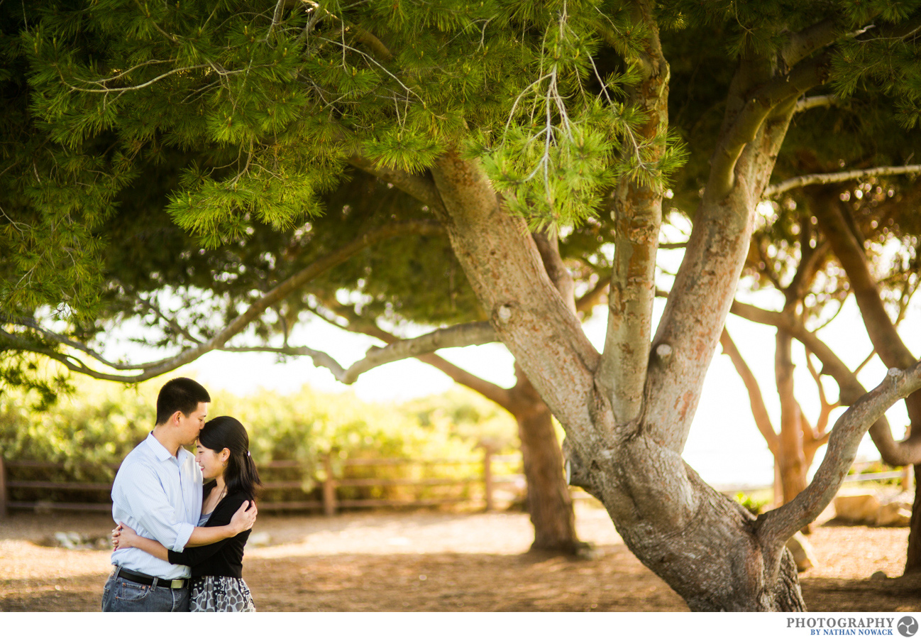 Palos-Verdes-Engagement-session-sunset-abalone-cove_0004