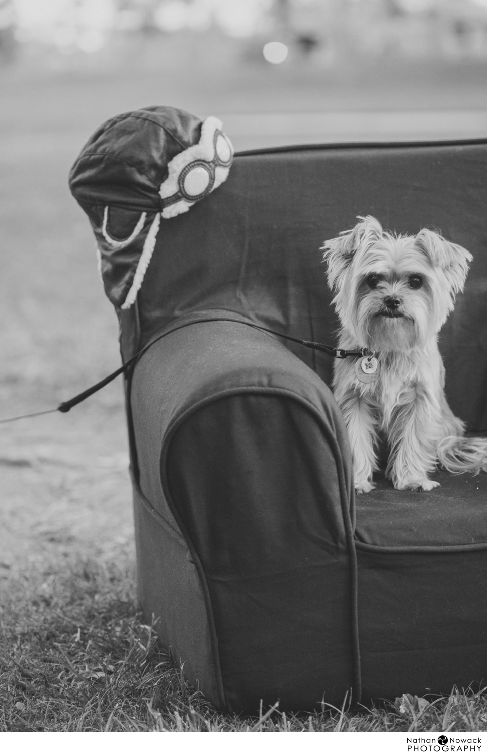 Family-portraits-irvine-1st-birthday-park_0017