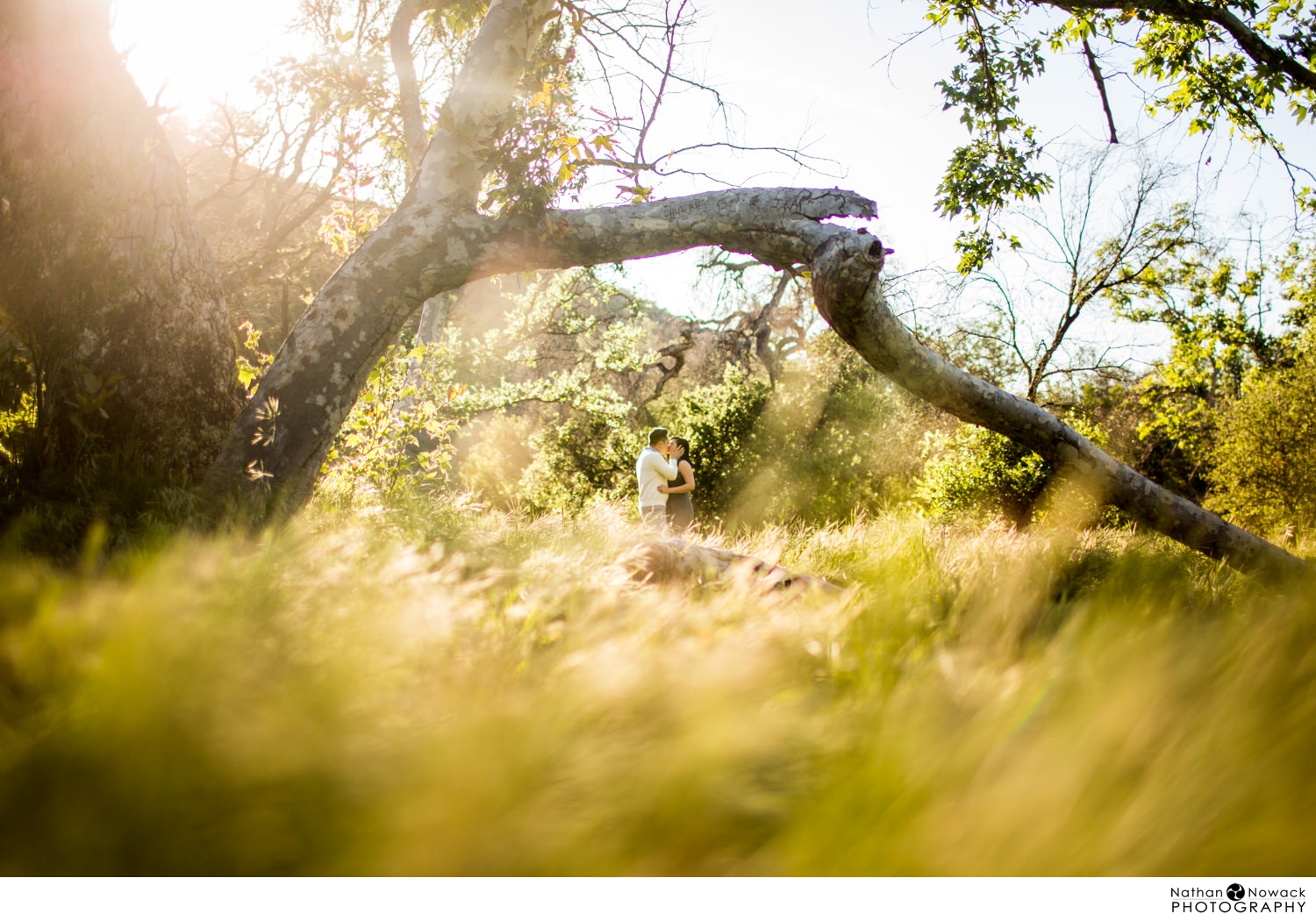 Irvine-regional-park-engagement-session-sunset-photos-esession_0010